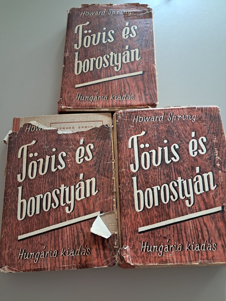 Tövis és borostyán – Howard Spring (borító)